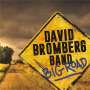 David Bromberg: Big Road, LP
