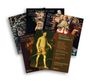 : Polyphonie der Renaissance (Exklusivset für jpc), CD,CD,CD,CD,CD