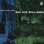 Big Joe Williams (Guitar / Blues): Piney Woods Blues, CD