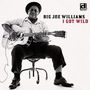 Big Joe Williams (Guitar / Blues): I Got Wild, CD