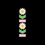 Keine Texte erkennbar. Zwei stilisierte Gänseblümchen übereinander mit grünen Blättern und rosa Balken auf schwarzem Hintergrund.