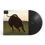 The Royston Club: Songs For The Spine, LP