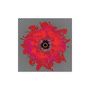 Guapo: Five Suns, CD