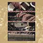 Soft Machine: NDR Jazz Workshop, Hamburg, Germany 17.5.1973, CD,DVD