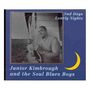Junior Kimbrough: Sad Days Lonely Nights, LP