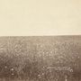 The Milk Carton Kids: The Ash & Clay, LP