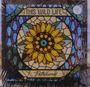 "THIS WILD LIFE" und "Petaluma" in einem Buntglas-Stil mit einer großen gelben Blume in der Mitte.