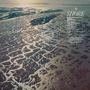 Oben rechts Titel "SHORE". Darunter Songliste u.a. "WADING IN WAIST-HIGH WATER". Luftaufnahme von verzweigten Wassersystemen.