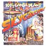 10 Ft. Ganja Plant: Skycatcher (180g), LP