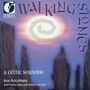 Keltisch - Walking Stones, CD