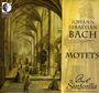 Johann Sebastian Bach: Motetten BWV 159,225-230, CD