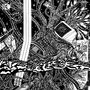 Austin Wulliman: Werke für Streichquartett - "Escape Rites", CD