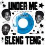 Wayne Smith: Under Me Sleng Teng, SIN