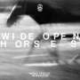 James Vincent McMorrow: Wide Open, Horses, LP,LP