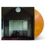 SYML: Nobody Lives Here (Eco Citrus Vinyl), LP