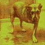 Alice In Chains: Alice In Chains, CD