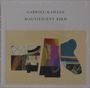 Gabriel Kahane: Magnificent Bird, CD