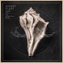 Robert Plant: Lullaby And ... The Ceaseless Roar (180g), LP,LP