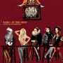 Panic! At The Disco: A Fever You Can't Sweat Out, CD