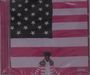 "Parental Advisory Explicit Content" in Weiß unten. Person in Stars-and-Stripes-Mantel vor US-Flagge.