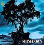 Shinedown: Leave A Whisper, LP