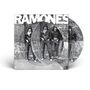 "RAMONES" in großen weißen Buchstaben oben. Vier Personen in Lederjacken vor einer Ziegelmauer mit Graffiti.