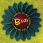The B-52's: Summer Of Love (Limited-Edition) (Red Vinyl), SIN
