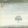 Genesis: Wind & Wuthering (remastered) (180g) (Limited Deluxe Edition), LP