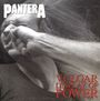 Pantera: Vulgar Display Of Power (180g), LP,LP