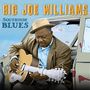 Big Joe Williams : Southside Blues, CD