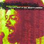 Gil Scott-Heron (1949-2011): Evolution (& Flashback), CD
