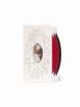 Verschnörkelte, handgeschriebene Wörter umgeben ein Oval mit Wolken; daneben rote und schwarze Vinyl-Schallplatten.