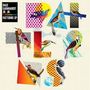 Dale Earnhardt Jr Jr: Patterns, LP