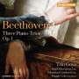Ludwig van Beethoven: Klaviertrios Nr.1-3, CD,CD