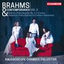 Johannes Brahms (1833-1897): Brahms / Pejacevic: Klavierquartette, CD