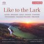 : Swedish Chamber Choir - Like to the lark, SACD