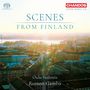 "Scenes from Finland", darunter "Oulu Sinfonia" und "Rumon Gamba". Ein sonniger Blick über eine Stadt mit Gebäuden und Bäumen.