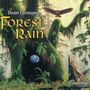 Dean Evenson: Forest Rain, CD