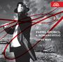 Pavel Sporcl & Romano Stile - Gipsy Way, CD