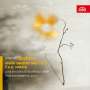 Johannes Brahms: Sonaten für Violine & Klavier Nr.1 & 3, CD