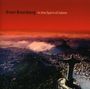 Brian Bromberg: In The Spirit Of Jobim, CD