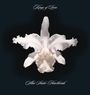 Kings Of Leon: Aha Shake Heartbreak (Limited Edition) (Clear Vinyl), LP