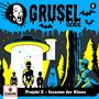 Gruselserie 04. Projekt X - Invasion der Aliens (180g), LP