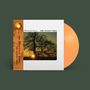 The Mountain Goats: The Sunset Tree (Apricot Vinyl) (20th Anniversary Remaster), LP