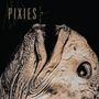 Text: "PIXIES COMPLETE B SIDES". Gezeigt ist eine Nahaufnahme eines Elefantenkopfes mit markanten Falten.