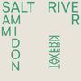 Sam Amidon: Salt River, LP