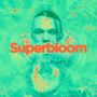 Ashton Irwin: Superbloom (Black Vinyl), LP