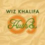 Wiz Khalifa: Kush & Orange Juice, LP,LP