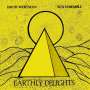 David Wertman: Earthly Delights (45rpm), LP,LP