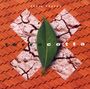 Craig Pruess: Terracotta, CD